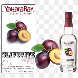 This Traditional Serbian Brandy Is Produced In Small - Plums Brandy Clipart