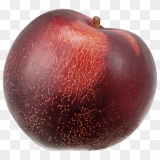 Price Clipart