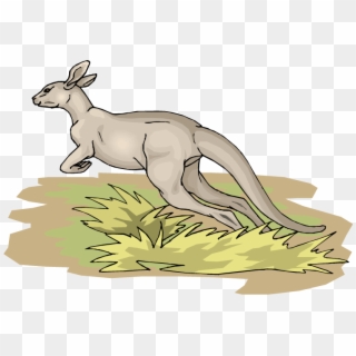 Jumping Kangaroo - Kangaroo Clipart