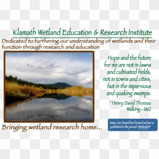 Kweri Index Image - Reflection Clipart