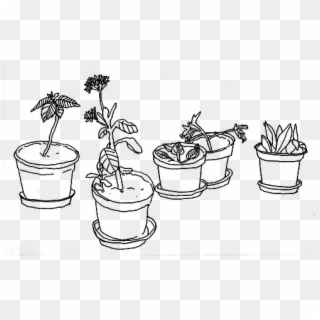 #aesthetic #vaporwave #art #edit #sticker #plants #succulents - Png Black And White Clipart