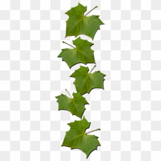 Favorite Links - Vitis Clipart