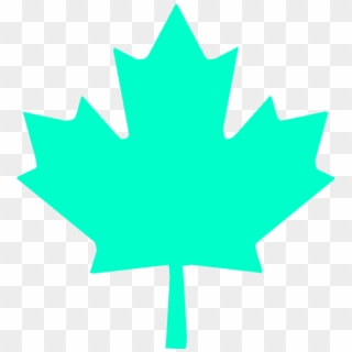 Wbp Maple Leaf - Canadian Maple Leaf Png Clipart