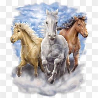 3 Running Horses - 3 Horses Clipart