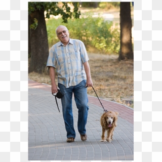 Aging And The Benefits Of Exercise - Leash Clipart