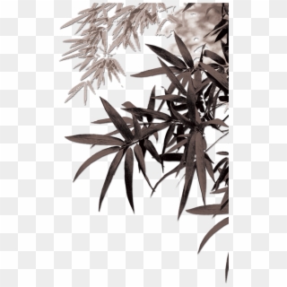 Bamboe Leaf Computer Ink Painting Leaves Transprent - Bamboo Leaves Png Clipart