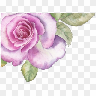 #ftestickers #flowers #roses #border #corner #pink - Pink And Purple Watercolour Flower Clipart