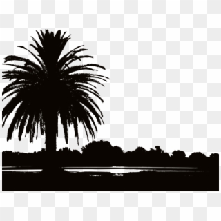 Sunset Clipart Png - Sunset Landscapes With Palm Trees Transparent Png