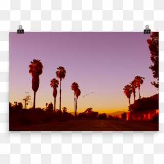 Lax-sunset Mockup Transparent Transparent , Png Download - Attalea Speciosa Clipart