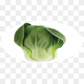 Brussels Sprout Clipart