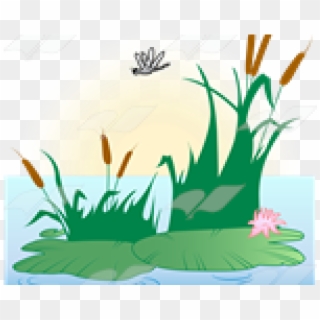 Lily Pad Clipart Pond Scene - Illustration - Png Download