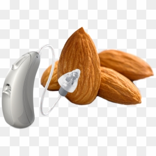 Award-winning Hearing Aids Tailored To You - Almond Clipart