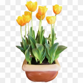 Фотки Potted Plants, Potted Flowers, Flower Pots, Flower - Tulip Clipart