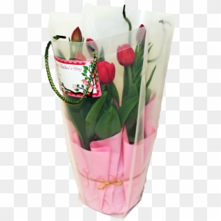 Potted Tulips In Gift Bag - Bouquet Clipart