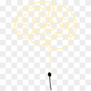 Brain - Illustration Clipart