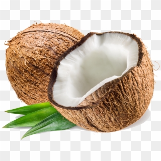 Com Coconut Pluspng Clipart