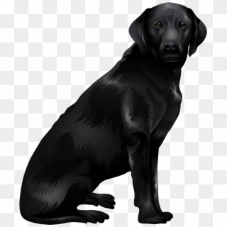 Labrador Retriever Png - Black Labrador Png Clipart