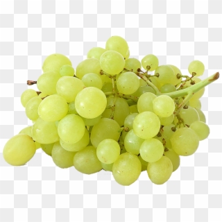 Drawing Vector Grapes- Grape Png Image & Grape Clip - Green Grapes Transparent Png