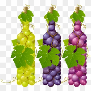 Grapes Vector , Png Download - Wine Grape Leaves Png Clipart
