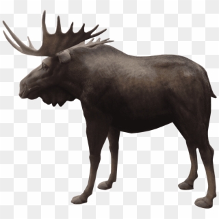 Moose Life Size Prop Resin Decor Statue- Lm Treasures - Reindeer Clipart
