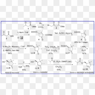 Synthesis Of Racemic Grape Mealybug Pheromone - Pheromone Synthesis Clipart
