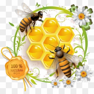 Label Honey Bee Vector Clipart