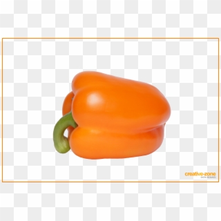 Orange Pepper - Habanero Chili Clipart
