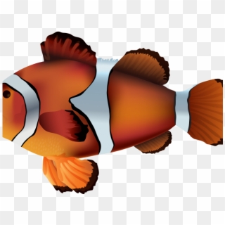 Clownfish Adorable Free On Dumielauxepices Net Onyx - Pez Payaso Transparents Clipart