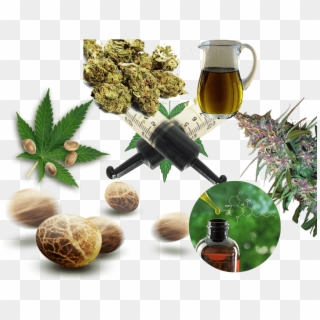We Have Specialized In Various Weed Products And Strains - Chinese Herb Tea Clipart