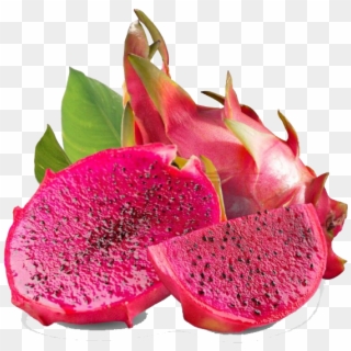 Dragon Fruit Is Usually Oval Elliptical Or Pear-shped - Red Dragon Fruit Slice Clipart