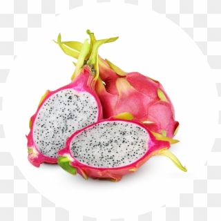 Dragonfruit - Down Steal This Album Clipart