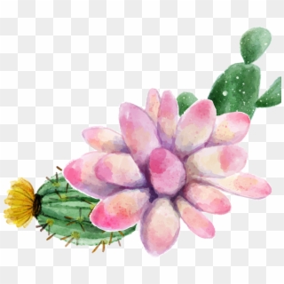 Watercolor Painting Succulent Plant Cactus Transprent - Plants Succulents Watercolor Clipart