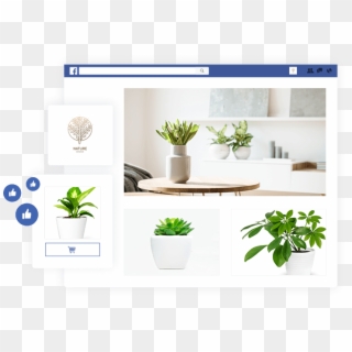 Start Your Facebook Store - Bonsai Clipart