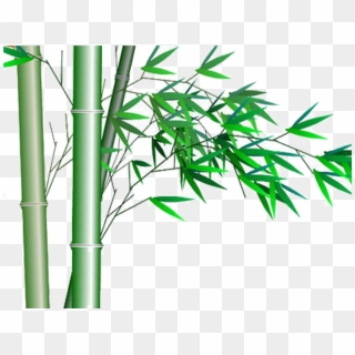 Bamboo Vector Lucky - Gambar Desain Pohon Bambu Clipart