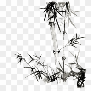 Twig Drawing Hand Drawn - Painting Clipart