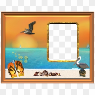 Tropical Pelican Photo Tropicalpelican - Picture Frame Clipart