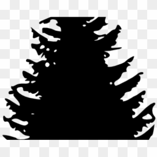 Fir Tree Clipart Cedar Tree - Clipart Pine Trees Black And White - Png Download