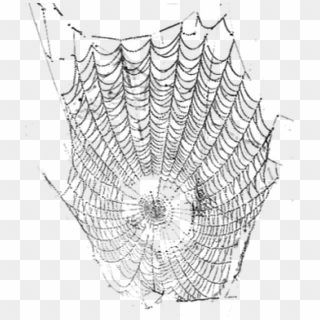 #telaraña #araña - Spider Web Clipart