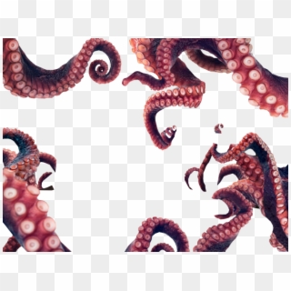Octopus Tentacles Png Gif - Octopus Png Clipart