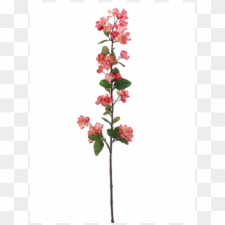 42" Apple Blossom Spray Two Tone Coral - Artificial Flower Clipart