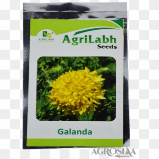 Agrilabh - Galanda Flower Clipart