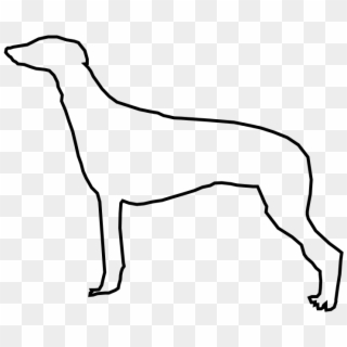 File - Greyhound Profile - Svg - Rampur Greyhound Clipart