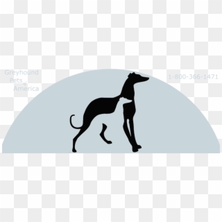 Greyhounds Make Great Pets - Greyhound Pets Of America Clipart