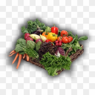 Verduras - Farm Vegetables Clipart