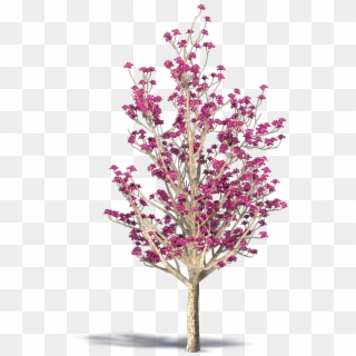 Saucer Magnolia - Artificial Flower Clipart
