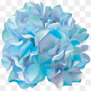 Hydrangea Transparent Watercolor - Artificial Flower Clipart