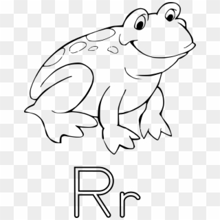 Frog Coloring Pages Clipart