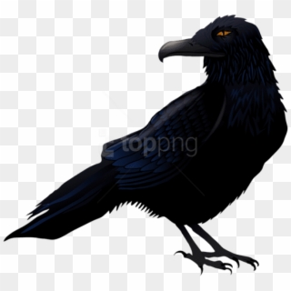 Download Haunted Raven Png Vector Png Images Background - Raven Clipart Png Transparent Png