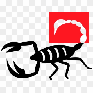 Predatory Arachnid Image - Scorpion Clipart