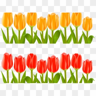Flower Garden Clipart - Tulips Flower Garden Clip Art - Png Download